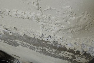 豐原防水王 壁癌處理示範｜神岡防水工程 壁癌根除方案