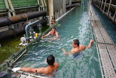 台中鷹架結構工程 - 專業拆除、水電配置與隔間搭建，符合CNS4750規範
